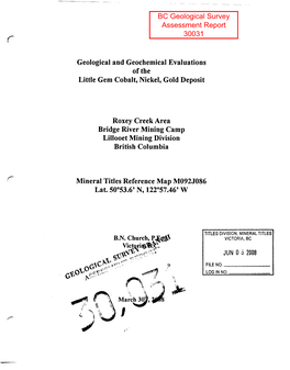 Geological and Geochemical Evaluations of the Little Gem Cobalt, Nickel, Gold Deposit