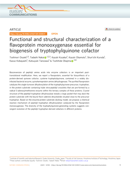 Functional and Structural Characterization of a Flavoprotein