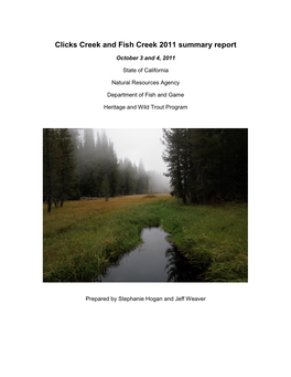 Clicks and Fish Creeks Summary Report