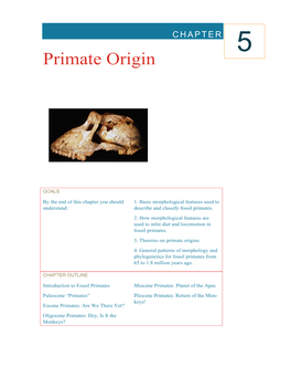 Primate Origin