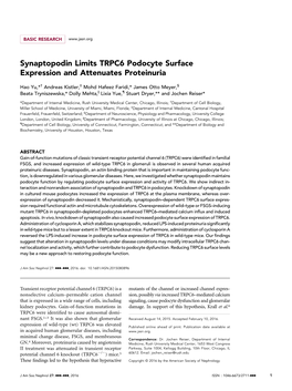 Synaptopodin Limits TRPC6 Podocyte Surface Expression and Attenuates Proteinuria