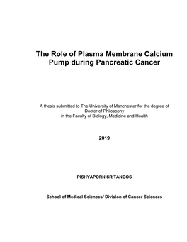 The Role of Plasma Membrane Calcium Pump During Pancreatic Cancer