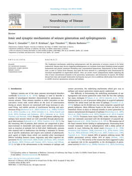 Ionic and Synaptic Mechanisms of Seizure Generation and Epileptogenesis T ⁎ Oscar C