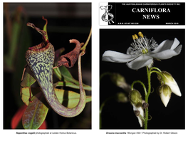 Carniflora News