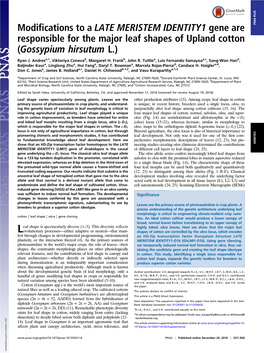 Modifications to a LATE MERISTEM IDENTITY1 Gene Are Responsible for the Major Leaf Shapes of Upland Cotton (Gossypium Hirsutum L