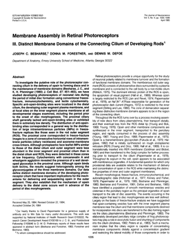 Membrane Assembly in Retinal Photoreceptors III