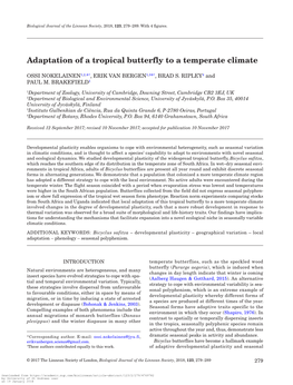 Adaptation of a Tropical Butterfly to a Temperate Climate