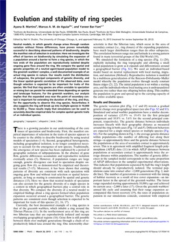 Evolution and Stability of Ring Species