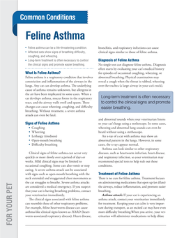 Feline Asthma Feline Is Asthma? What • • • Feline Asthma the Clinical Signs and Promote Easier Breathing