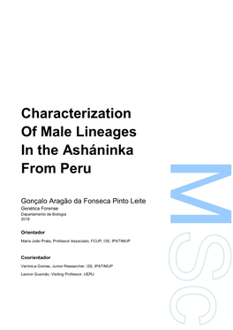 Characterization of Male Lineages in the Asháninka from Peru