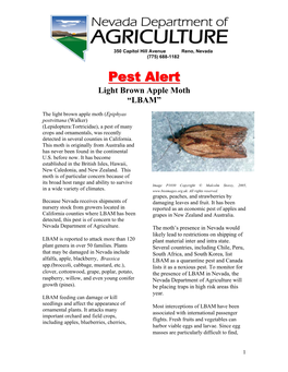 Pest Alert: Light Brown Apple Moth