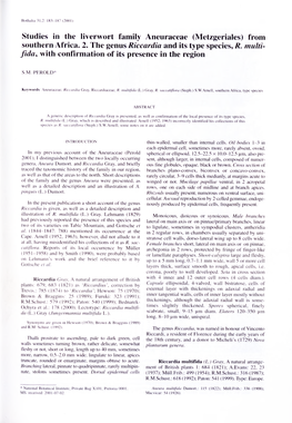 Studies in the Liverwort Family Aneuraceae (Metzgeriales) from Southern Africa