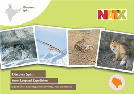 Discover Spiti