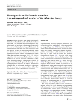 The Enigmatic Truffle Fevansia Aurantiaca Is an Ectomycorrhizal Member of the Albatrellus Lineage