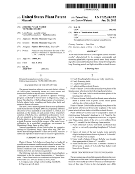 (12) United States Plant Patent (10) Patent No.: US PP25,242 P2 Miyazaki (45) Date of Patent: Jan