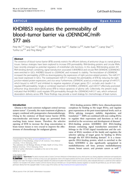 KHDRBS3 Regulates the Permeability of Blood–Tumor Barrier Via