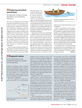 Organoid Culture