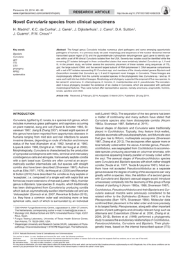 Novel Curvularia Species from Clinical Specimens