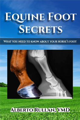 588529 Equine Foot Secrets Ebook 112519