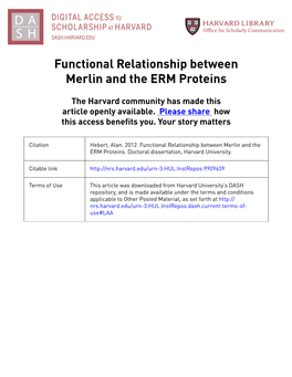 Functional Relationship Between Merlin and the ERM Proteins