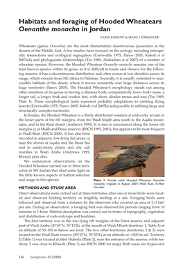 Habitats and Foraging of Hooded Wheatears Oenanthe Monacha in Jordan