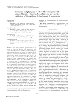 Taxonomy and Phylogeny of Yellow Clavaria Species with Clamped Basidia—Clavaria Flavostellifera Sp