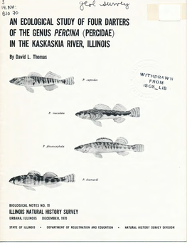 AN ECOLOGICAL STUDY of FOUR DARTERS of the GENUS PERCINA (PERCIDAE) in the KASKASKIA RIVER, ILLINOIS by .David L