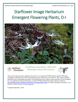 Emergent Flowering Plants, D-I – Pg.1 Starflower Image Herbarium Emergent Flowering Plants, D-I