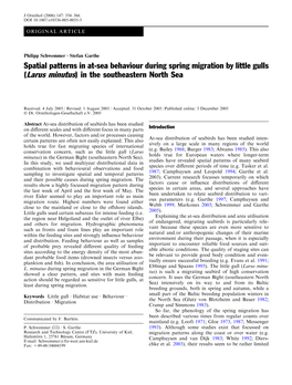 Spatial Patterns in At-Sea Behaviour During Spring Migration by Little Gulls (Larus Minutus) in the Southeastern North Sea