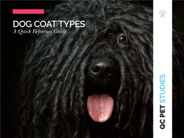 DOG COAT TYPES a Quick Reference Guide