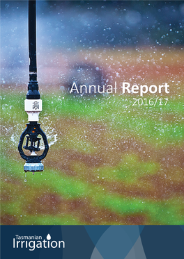 TI Annual Report 2016-17