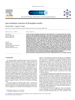 Low-Resolution Structure of Drosophila Translin ⇑ Vinay Kumar , Gagan D