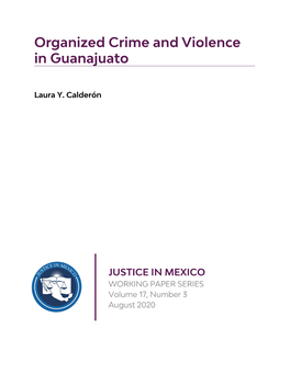 Organized Crime and Violence in Guanajuato