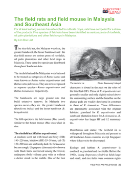 The Field Rats and Field Mouse in Malaysia and Southeast Asia