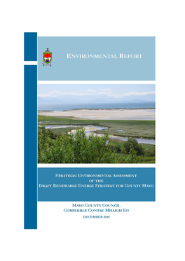 SEA Environmental Report for the Renewable Energy Strategy