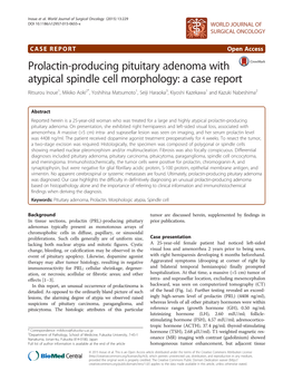 Prolactin-Producing Pituitary Adenoma with Atypical Spindle Cell Morphology