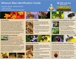 Missouri Bee Identification Guide Edward M