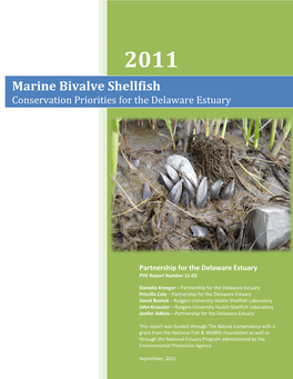 Marine Bivalve Shellfish Conservation Priorities for the Delaware Estuary