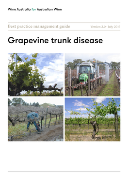 Grapevine Trunk Disease Introduction 5 Key Facts Eutypa Dieback (ED) and Botryosphaeria Dieback • Caused by Fungi That Are Spread by Airborne Spores