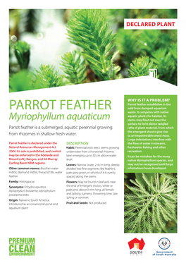 Parrot Feather Establishes in the PARROT FEATHER Wild from Dumped Aquarium Waste