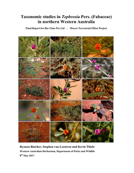 Taxonomic Studies in Tephrosia in Northern Western Australia Final