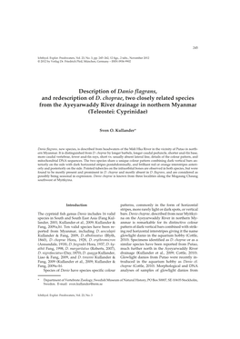 Description of Danio Flagrans, and Redescription of D. Choprae, Two