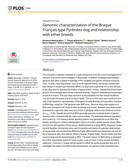 Genomic Characterization of the Braque Français Type Pyrénées Dog