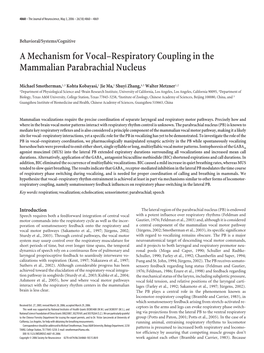 A Mechanism for Vocal–Respiratory Coupling in the Mammalian Parabrachial Nucleus