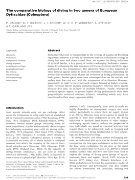 The Comparative Biology of Diving in Two Genera of European Dytiscidae (Coleoptera)