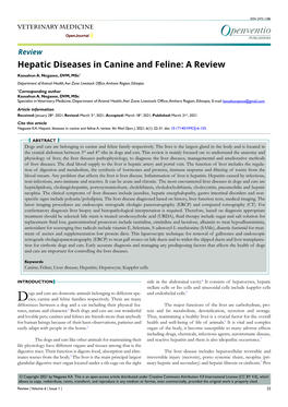 Hepatic Diseases in Canine and Feline: a Review Kassahun A