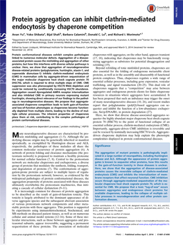 Protein Aggregation Can Inhibit Clathrin-Mediated Endocytosis By