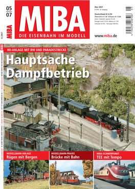 Brücke Mit Bahn H0-ANLAGE MIT BW UND