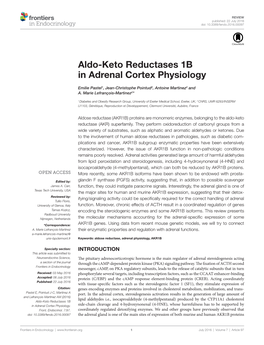 Aldo-Keto Reductases 1B in Adrenal Cortex Physiology