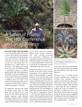 A Safari of Plants: the 11Th Conference on Cycad Biology
